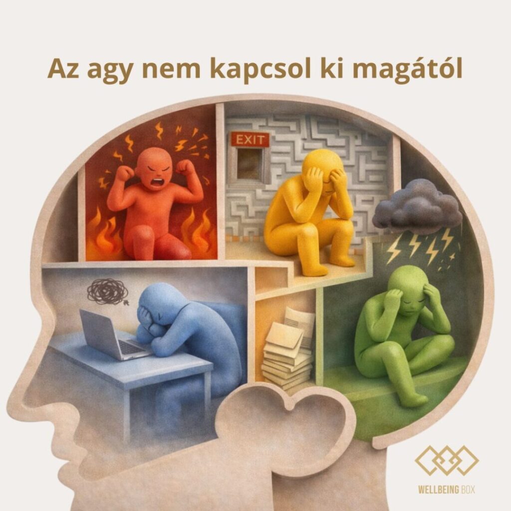 Agy, üzemmódok, mikroszünet - Az agy nem kapcsol ki magától.